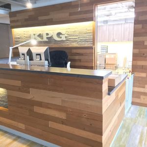 Multi-Level Wall Cladding